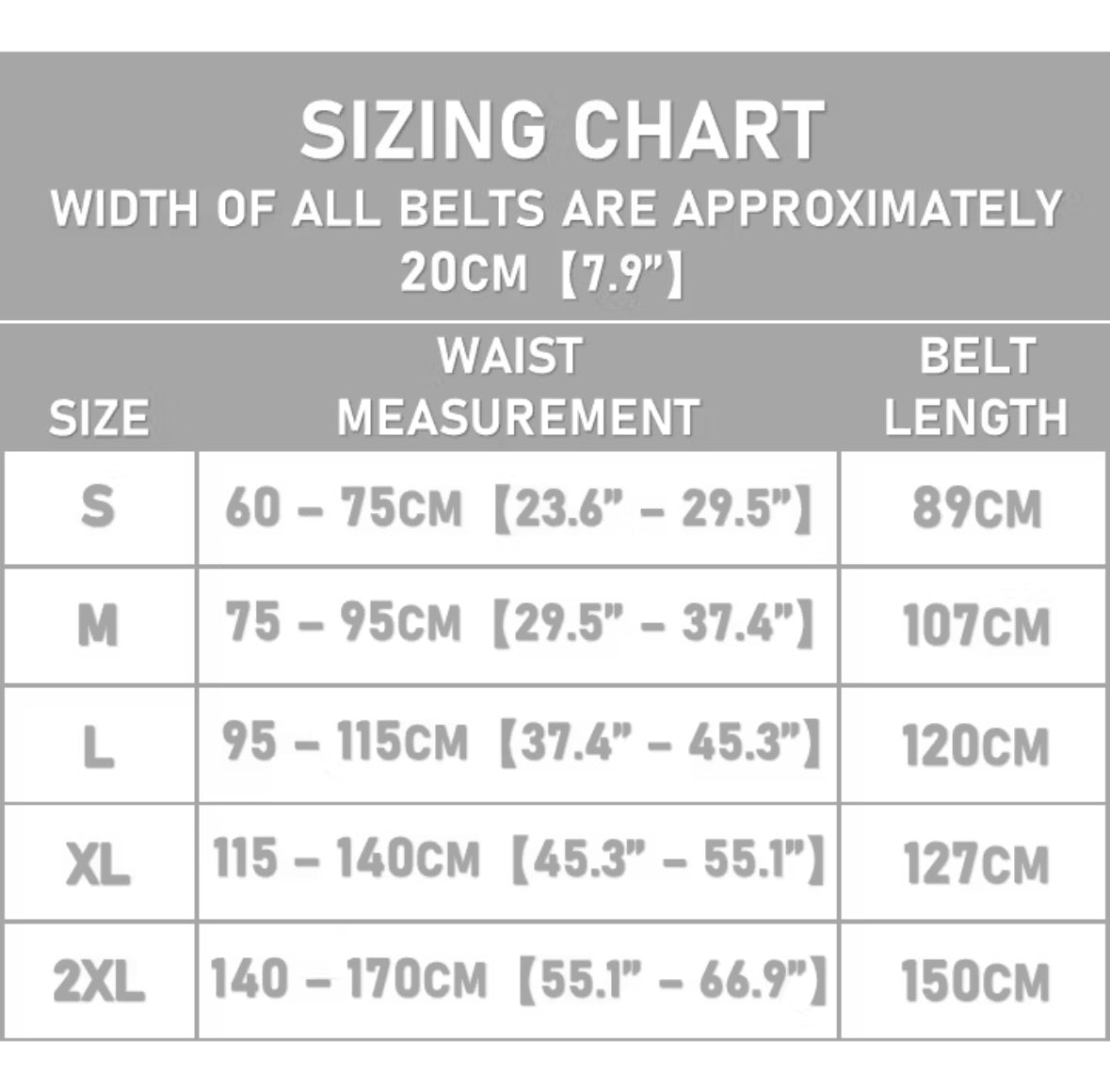 Double Pull Back Lumbar Support Belt Waist Spine Waist Trainer Brace Back Pain Relief